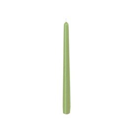dinner candles green  Ø 22 mm  H 250 mm | burning period 7 hours product photo