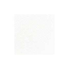 napkins DUNISOFT white 200 mm x 200 mm product photo