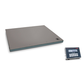 platform scales 7783 up to 300 kg | 600 kg product photo