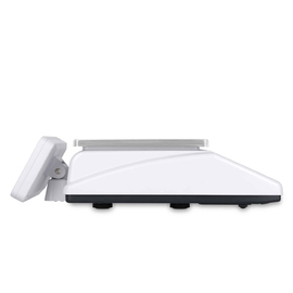 dual-range retail scale LWX200-6 calibrated weighing range 3 kg | 6 kg product photo  S