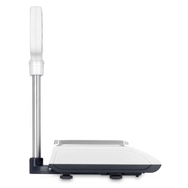 dual-range retail scale LW300-6T calibrated weighing range 3 kg | 6 kg product photo  S