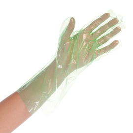 LDPE gloves SOFTLINE one-size-fits-all polyethylene green product photo