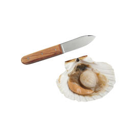 scallop knife with wooden handle blade length 105 mm product photo  S