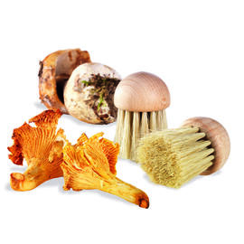 mushroom brush  | bristles made of natural material  Ø 40 mm product photo  S