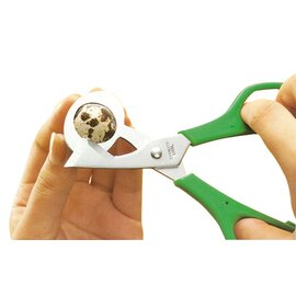 quail egg scissors  L 140 mm  • handle colour green product photo