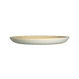 plate AMARI Ø 253 mm porcelain Dijon product photo  S