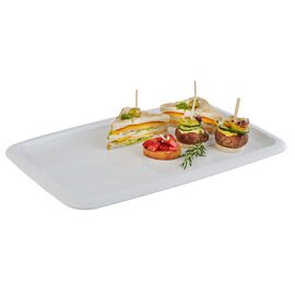 tray GN 1/2 TIERRA plastic white matt shiny  H 25 mm product photo