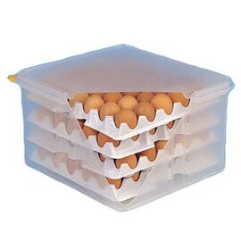 HACCP egg container GN 2/3 transparent 354 mm  B 325 mm product photo