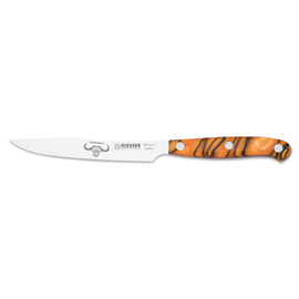 steak knife PREMIUMCUT Steak No 1 Spicy Orange | blade length 12 cm product photo