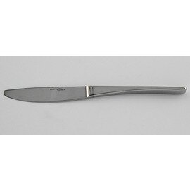 dining knife ATLANTIS  L 233 mm hollow handle product photo