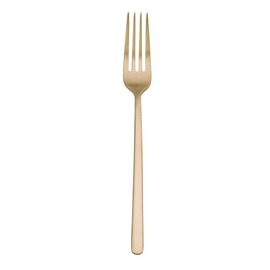 dining fork NARDO Champagne L 205 mm product photo