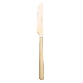 pudding knife NARDO Champagne L 213 mm product photo