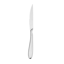 steak knife ANZO ERGO stainless steel L 235 mm product photo
