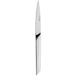 steak knife X 15 stainless steel shiny L 243 mm product photo