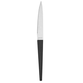 steak knife TRAPEZ Eternum L 229 mm product photo
