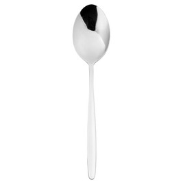 serving spoon FRIDA Eternum L 250 mm product photo