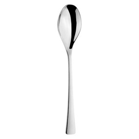 dining spoon CURVE Eternum L 210 mm product photo