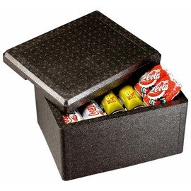 insulated box CARGO black 15 ltr  | 325 mm  x 255 mm  H 325 mm product photo