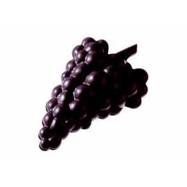 chocolate mould  • grapes | 6-cavity | mould size 93 x 56 x H 19 mm  L 275 mm  B 175 mm product photo