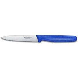  vegetable knife medium sharp smooth cut | blue | blade length 10 centimeters product photo