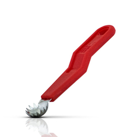 tomato corer Premium product photo