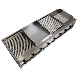 Gastro roaster gas RGS 45 | 2 burners product photo  S