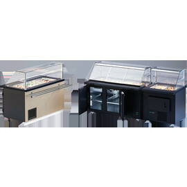 selling cool counter Gastroline Premium EX 200 | 365 ltr | convection cooling product photo  S