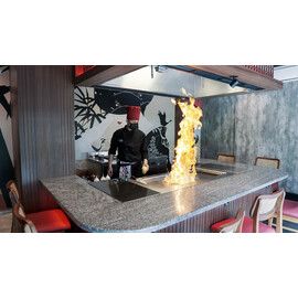 Teppanyaki electric 3 heating zones | grill area 1200 x 550 mm product photo S