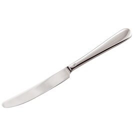pudding knife MONIKA | massive handle product photo