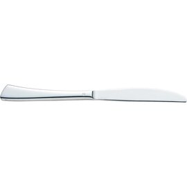 dining knife EZZO | massive handle  L 250 mm product photo