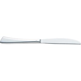 CLEARANCE | dining knife EZZO | massive handle  L 250 mm product photo
