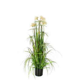 artificial plant ornamental grass 'pom pom' H 1200 mm product photo