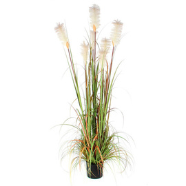 artificial plant ornamental grass 'foxtail' H 1800 mm product photo