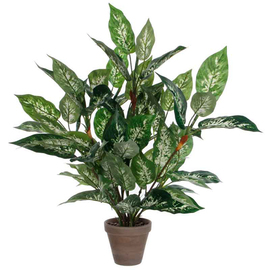 artificial plant golden fruit palm Dieffenbachia | mother-in-law plant with planter H 700 mm product photo