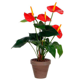 artificial flower flamingo flower red with planter H 400 mm product photo