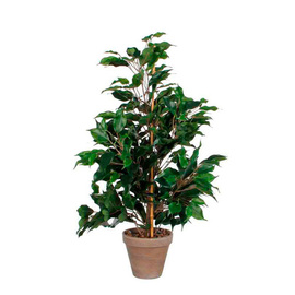 artificial plant Ficus Exotica with planter H 650 mm product photo