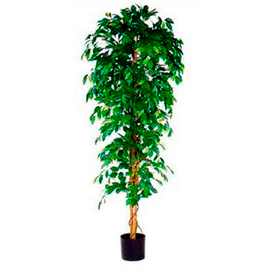 artificial plant Ficus Benjamina H 2100 mm product photo