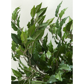 artificial plant Ficus Benjamina H 2100 mm product photo  S