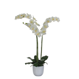 artificial flower phalaenopsis orchid white with planter H 1000 mm product photo