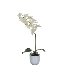 artificial flower phalaenopsis orchid white with planter H 600 mm product photo