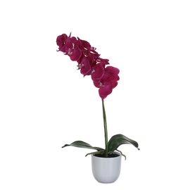 artificial flower phalaenopsis orchid purple with planter H 600 mm product photo