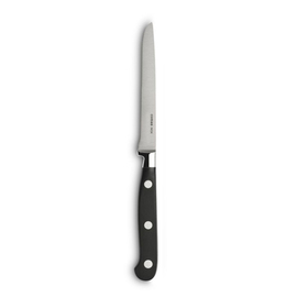 steak knife stainless steel forged L 225 mm | 2 pieces product photo