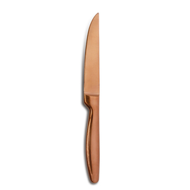 steak knife K6 BOJ SATIN copper coloured L 221 mm product photo