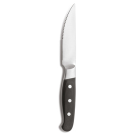 steak knife ACONCAGUA  L 258 mm product photo