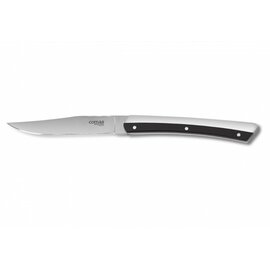 steak knife K2 stainless steel smooth product photo