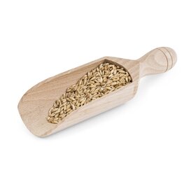 shovel wood  L 180 mm  • wooden handle product photo