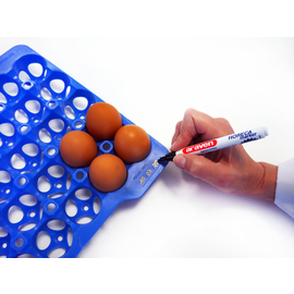 Egg box including four egg trays product photo  S