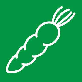 Stalgast vegetable knife, HACCP, green handle, stainless steel blade 10.5 cm product photo  S