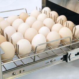 Egg and knife sterilizer, dimensions 360 x 530 x 245 mm (W x D x H) product photo  S
