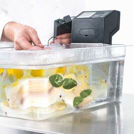 Sous-vide device for hanging in a water bath, 145 x 115 x 325 mm (W x D x H) product photo  S